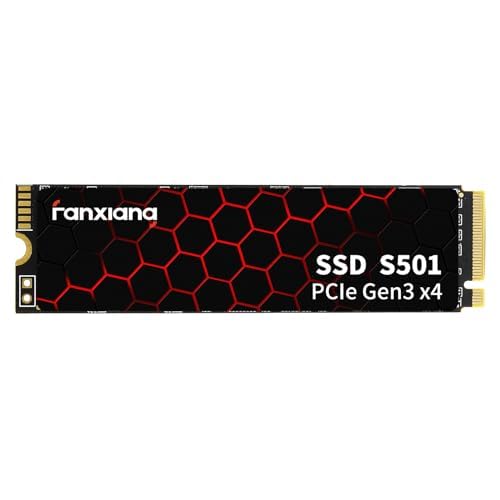fanxiang S501 128GB NVMe SSD