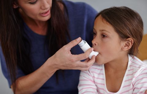 Allergies respiratoires de rentrée : ce que révèlent les pollens tardifs et le retour du chauffage