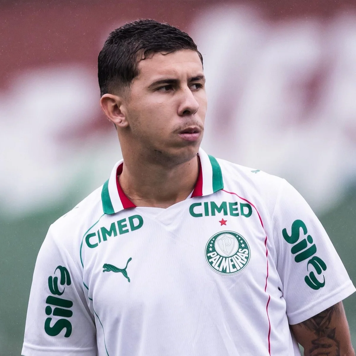Palmeiras afasta Felipe Teresa após ser acusado de agressão pela ex-esposa