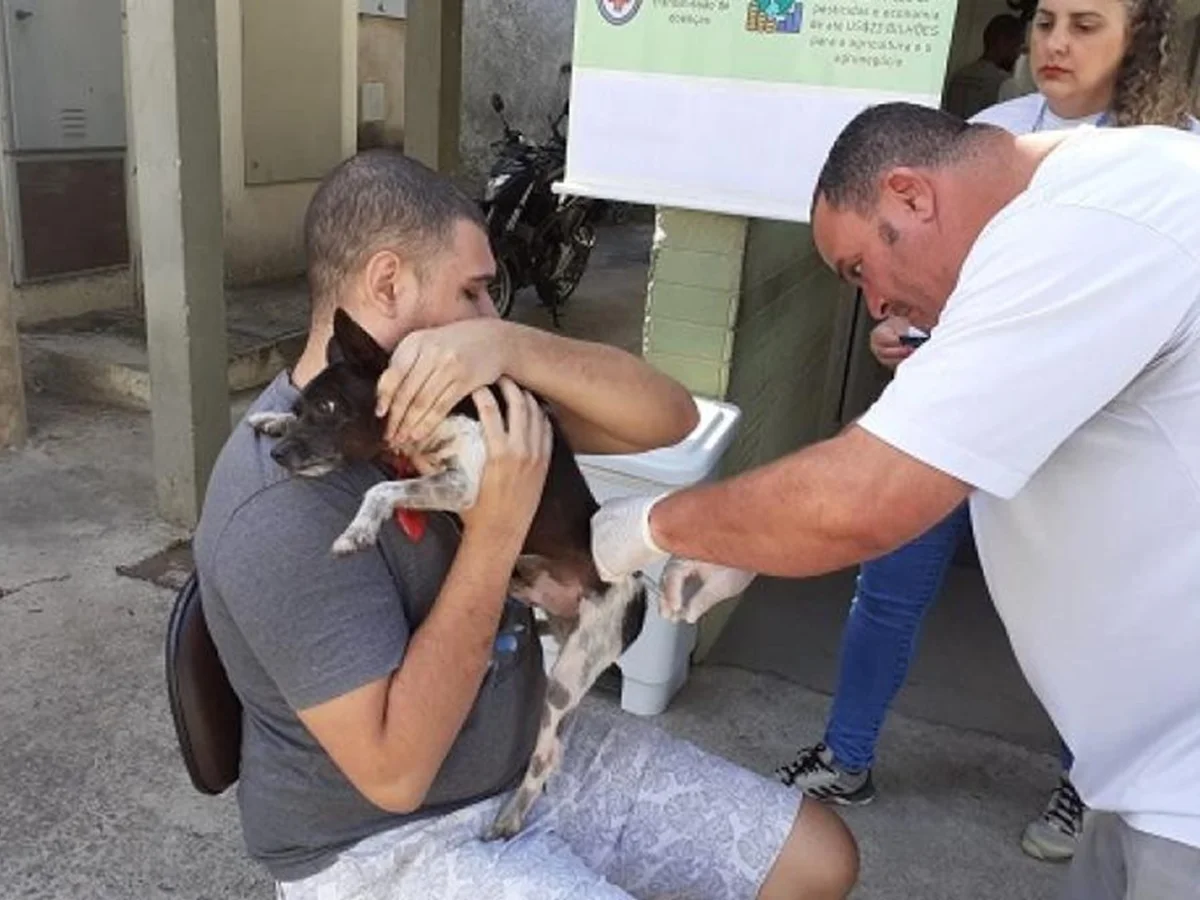 BH terá dois pontos extras para vacinação de cães e gatos contra a raiva