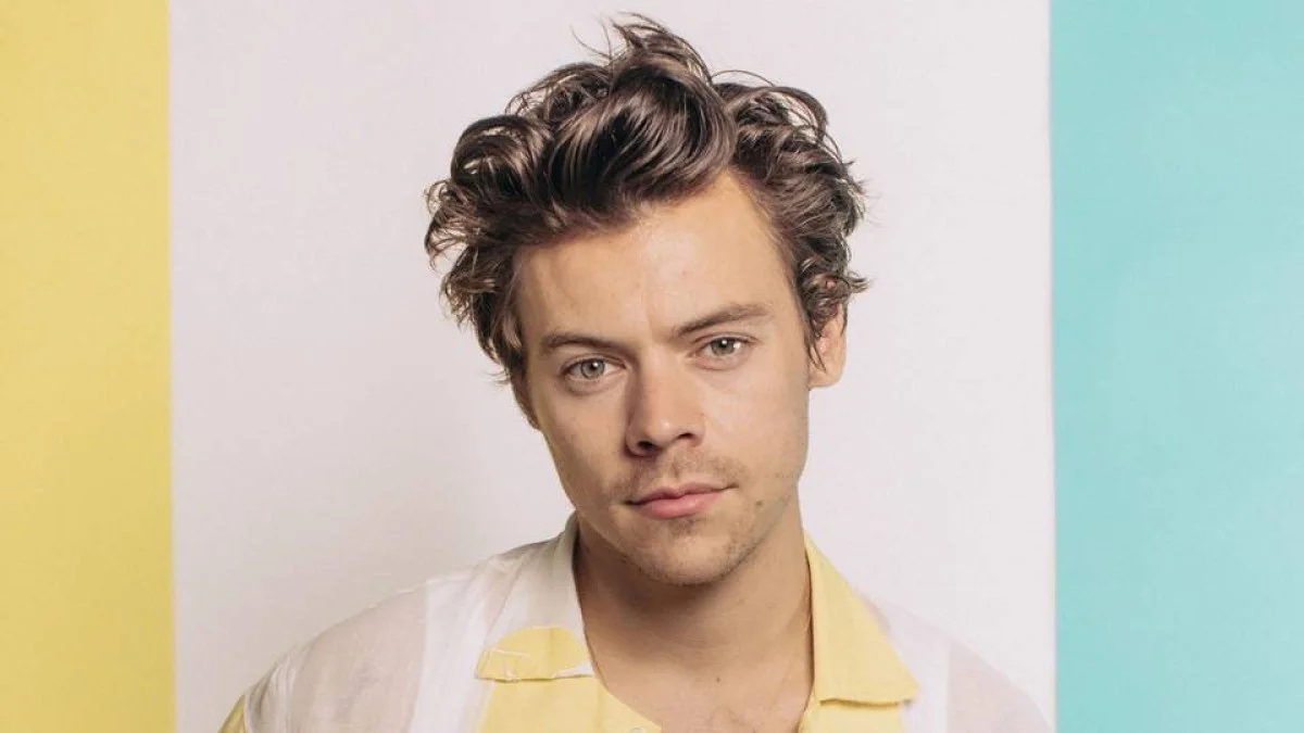 Ingresso de show de Harry Styles em NY é criticado por semelhança ao 11/9