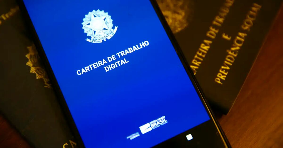 Formalização: apesar de recorde no país, 65% dos empregadores e autônomos não têm CNPJ