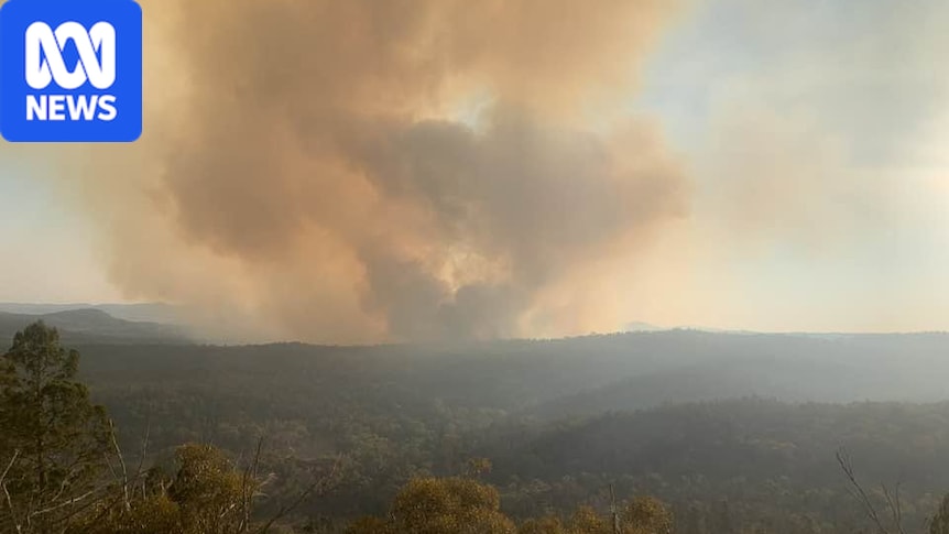 Incêndio florestal no Southern Downs causado por queima autorizada que saiu do controle, diz o serviço de incêndios