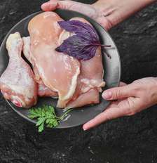 Entenda por que você não deve lavar o frango antes de cozinhar Foto: Freepik