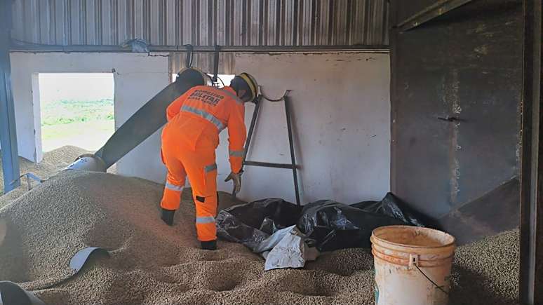 Homem morre soterrado por grãos de café após colapso de silo no Triângulo Mineiro