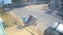 Cachorro de quase 60 quilos ‘desiste’ de trilha e socorristas precisam carregá-lo por 6 km