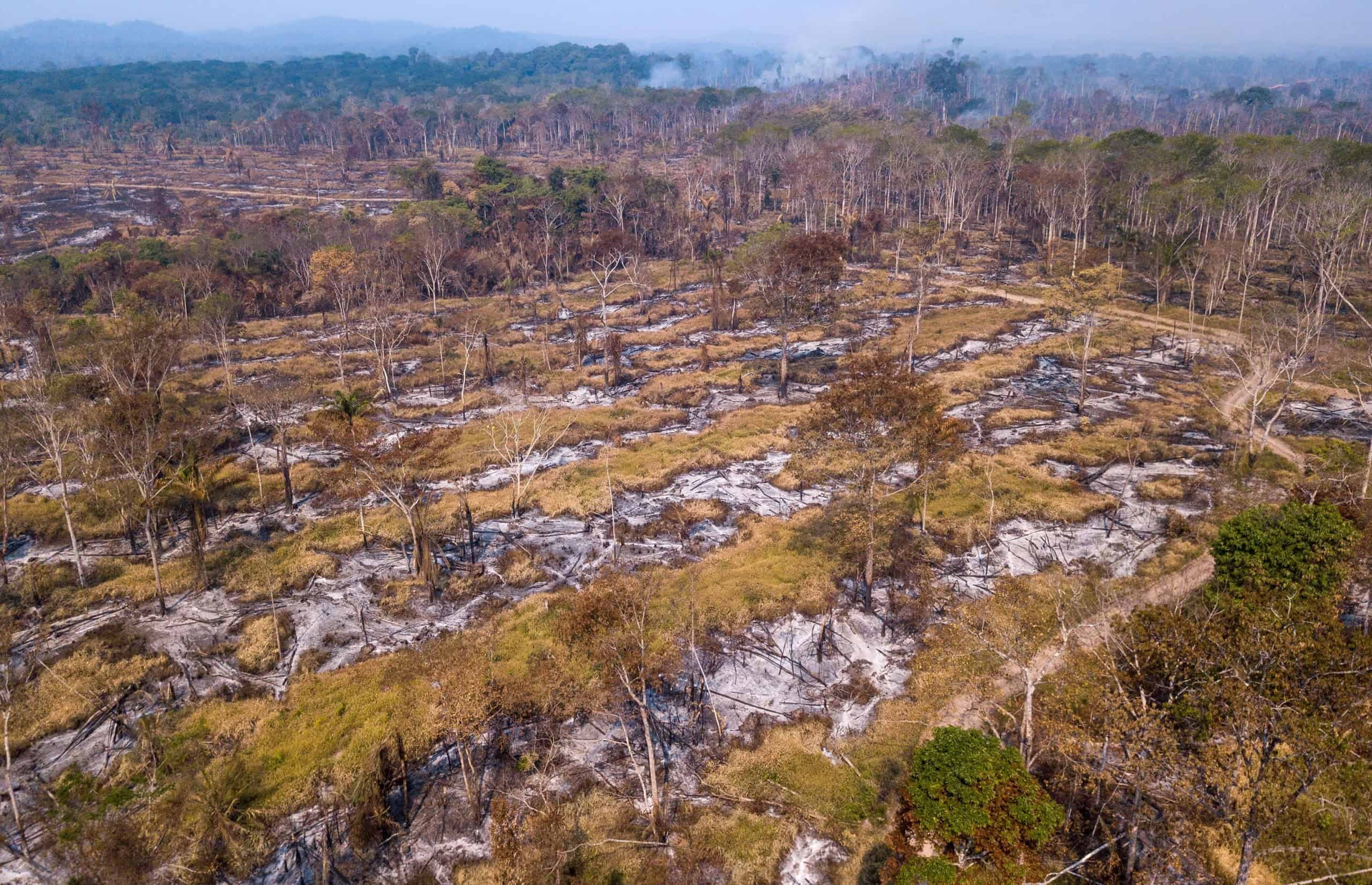 Eventos climáticos extremos no centro da Amazônia preocupam cientistas