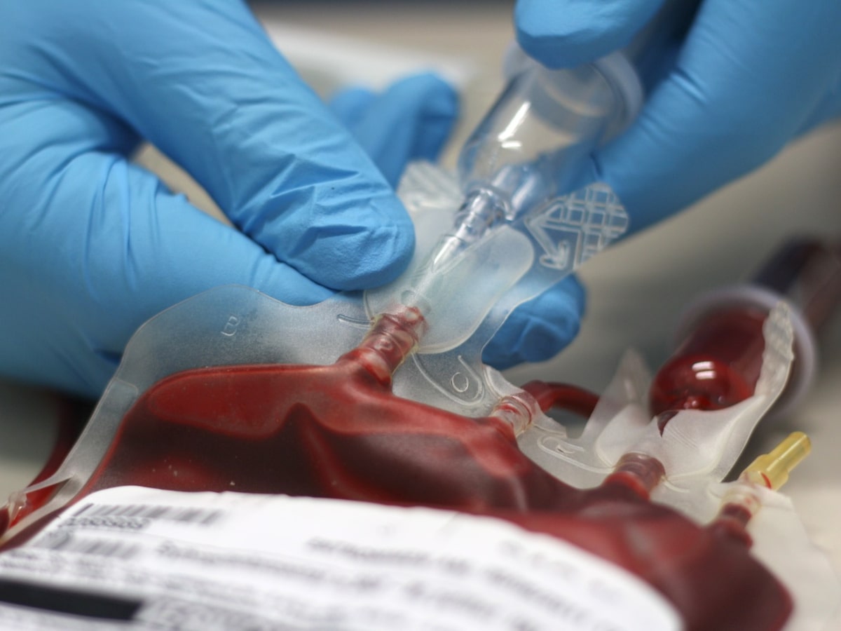 Testemunhas de Jeová adotam nova regra para recebimento e doação de sangue