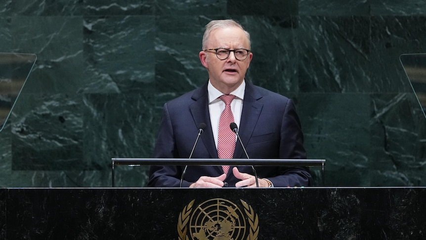 Anthony Albanese speaks at the UN rostrum.
