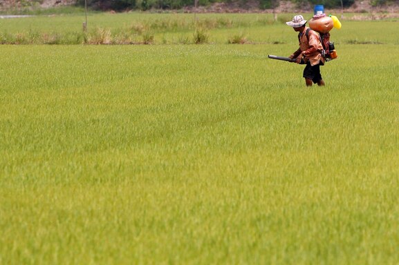 As sanções atingiram apenas 27,5% das infrações por agrotóxicos detectadas na Califórnia
