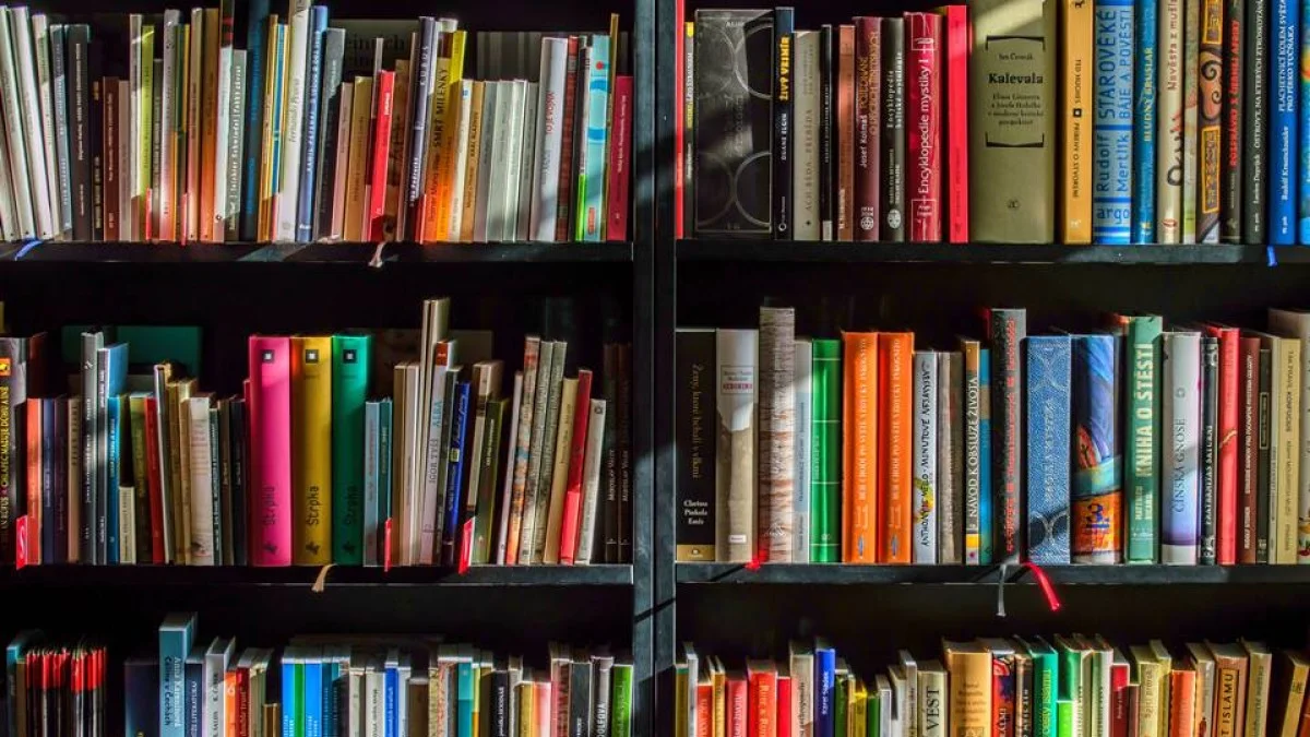 Fenômeno na França, livro é retirado de prêmio após acusação de uso de IA