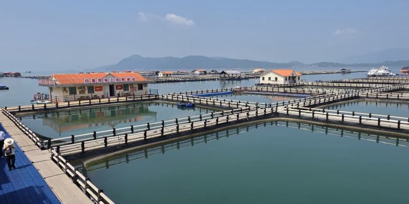 O Pavilhão de Timor-Leste sai o Melhor Pavilhão na CAEXPO de Nanning