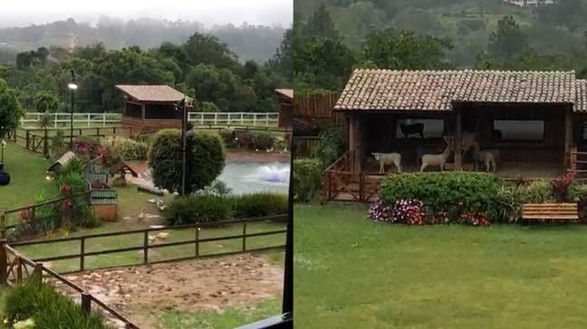 De visitante a dança das cadeiras: tudo sobre 'A Fazenda 18', que estreia hoje na Record