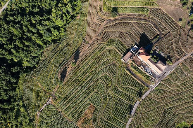 Um passeio por Milo, o território da uva Carricante produzida no solo vulcânico do Etna