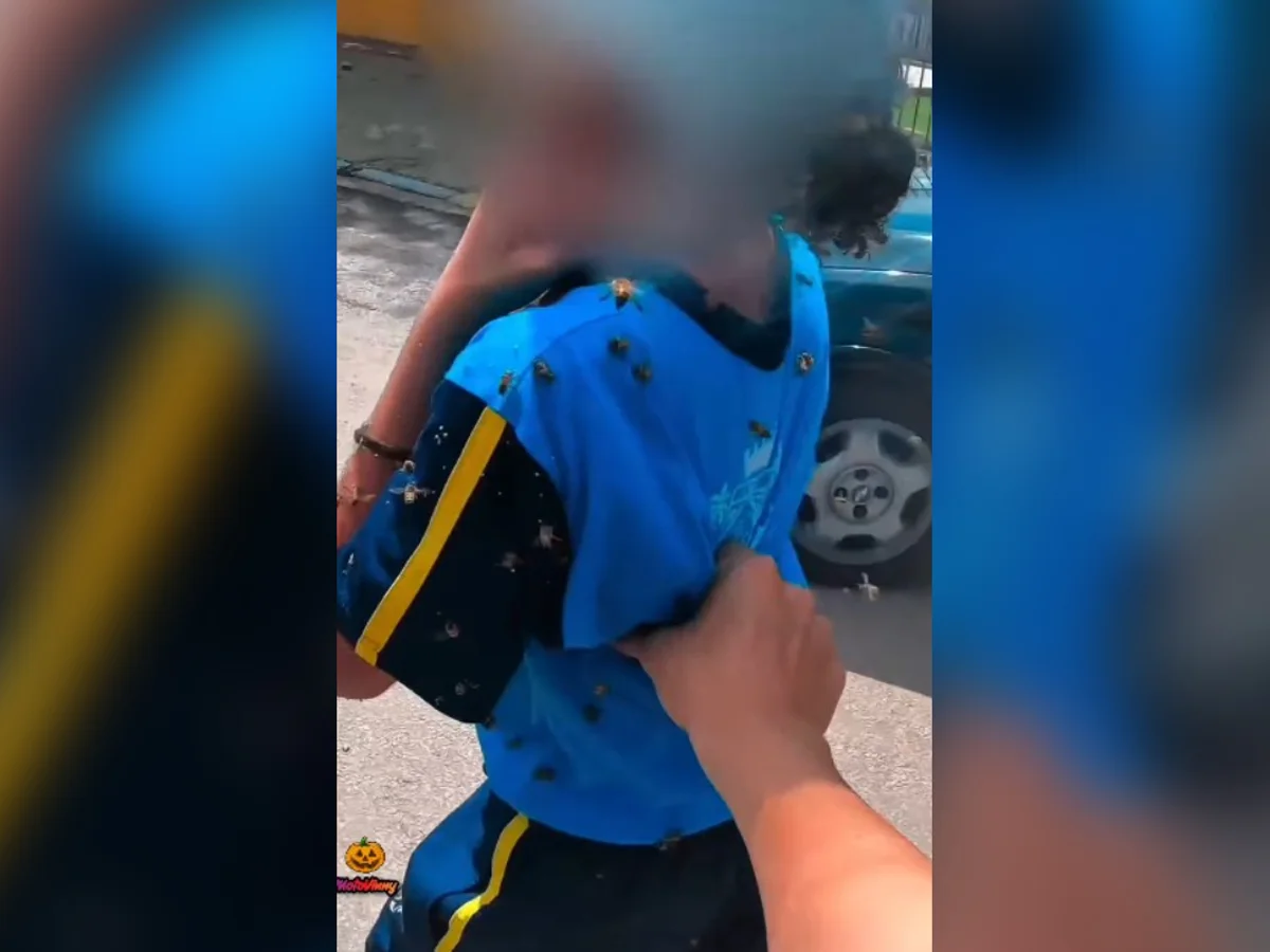 Motoboy salva criança e leva 40 picadas durante ataque de abelhas em MG