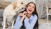 Shih tzu, pug e bulldogs: por que essas raças têm mais risco de dermatites