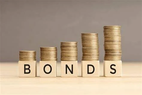 DMO opens N1tn FGN bond subscription, sets N50m minimum