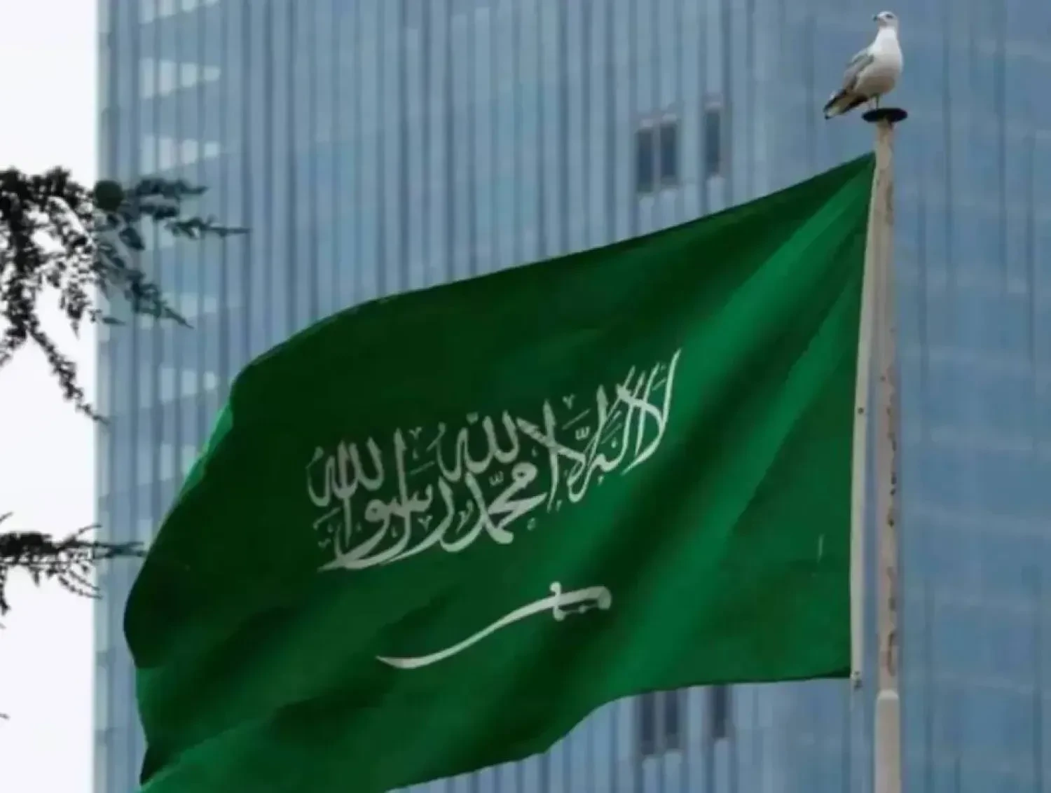 O Conselho de Segurança da ONU reafirma o direito da Arábia Saudita à legítima defesa e exige que os Houthis encadrem ataques contra o Reino