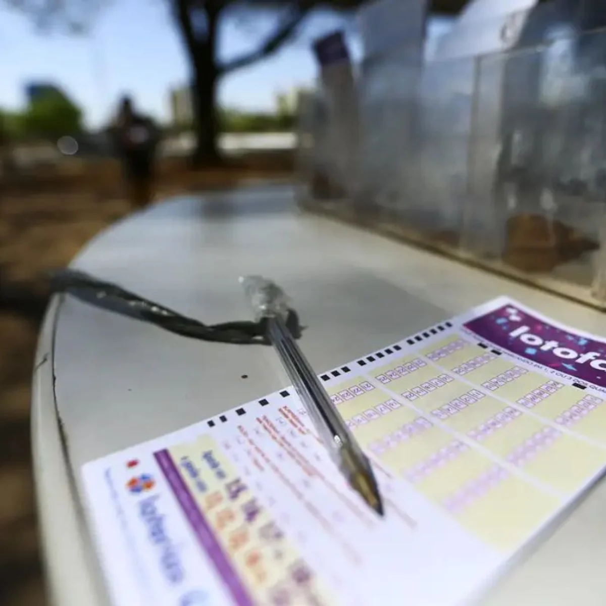 Lotofácil fez milionários em cidades de MG com pouco mais de 3 mil pessoas