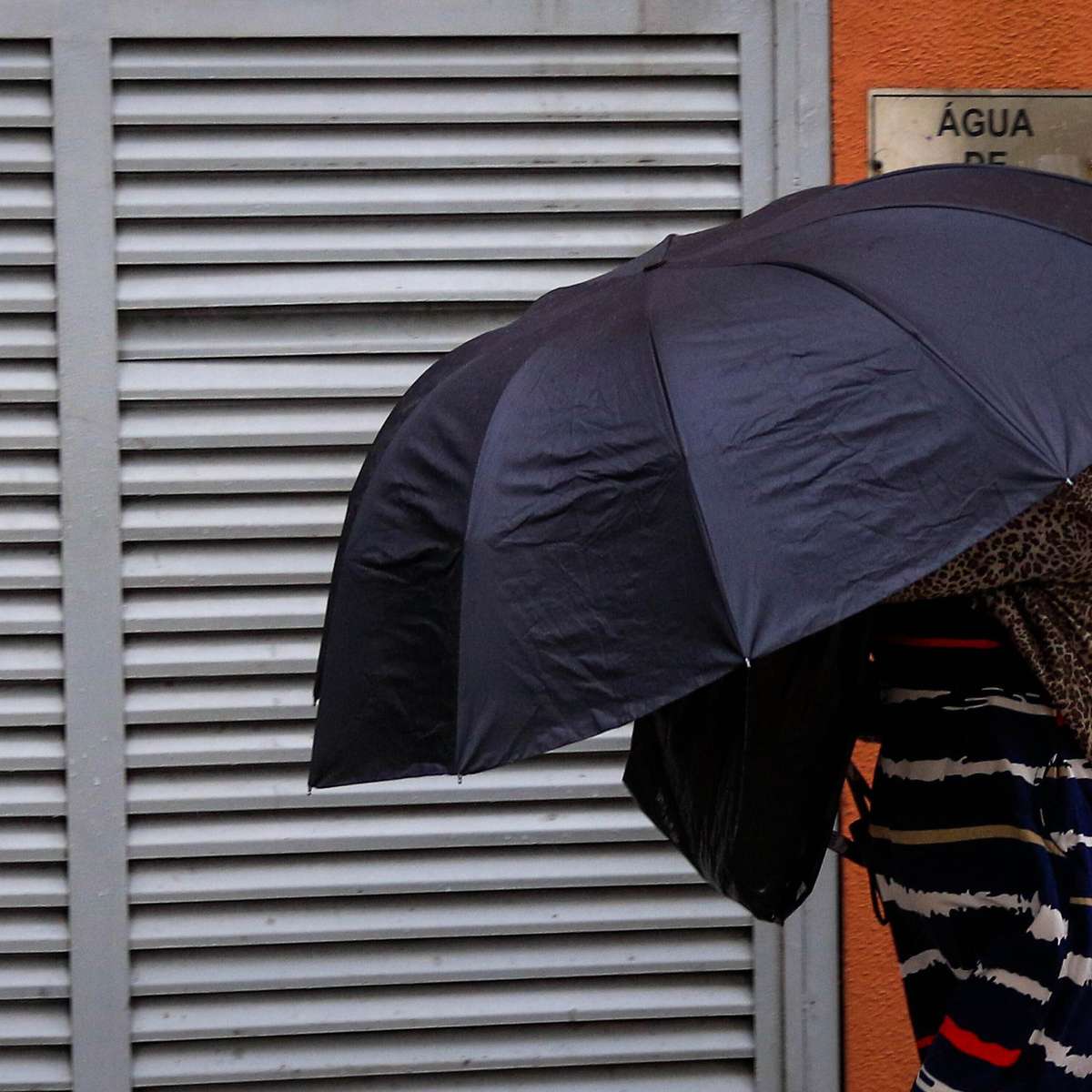 ‘Terra da garoa’: cidade de São Paulo registra mês de setembro mais chuvoso em 83 anos
