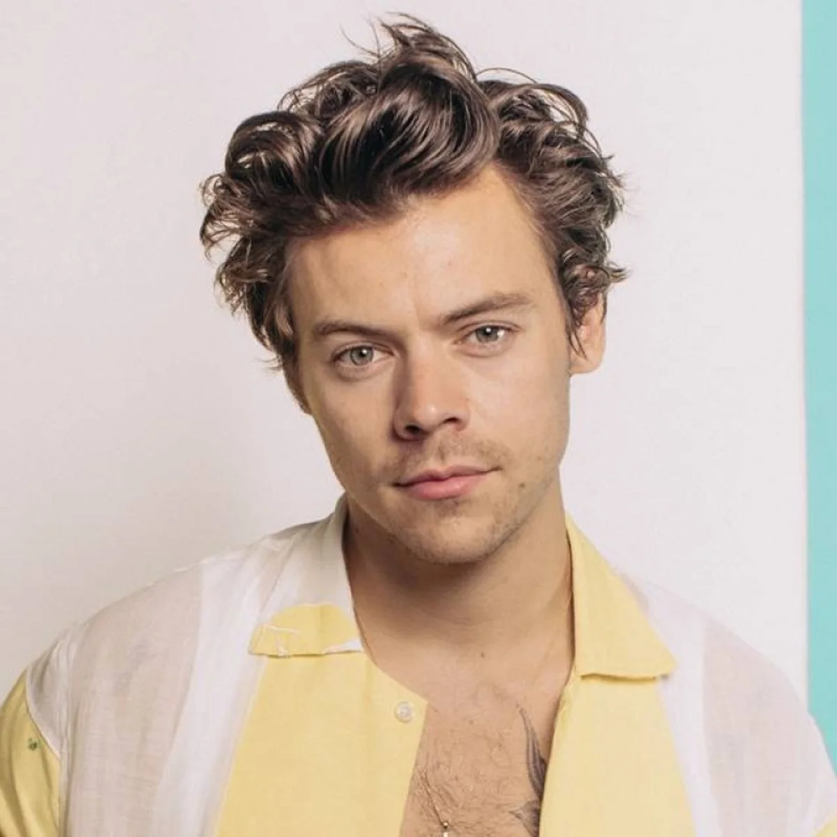 Ingresso de show de Harry Styles em NY é criticado por semelhança ao 11/9