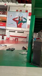 Veja como está quadra da Grande Rio para coroação de Anitta como rainha