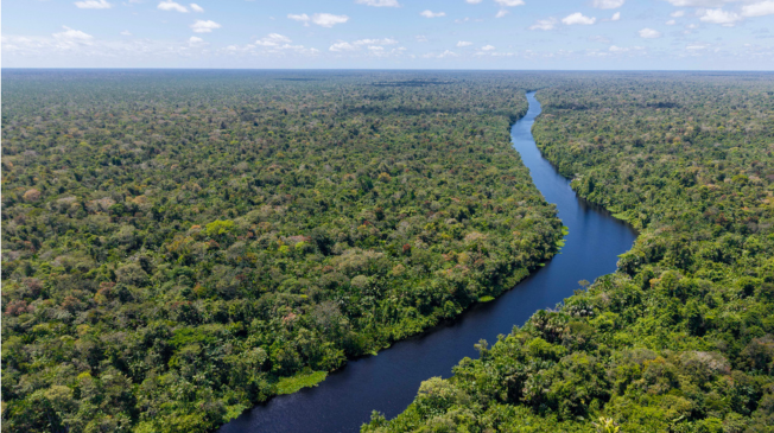 Planos dos candidatos para o meio ambiente focam no combate ao desmatamento e 'mostram consenso discursivo amplo', analisam especialistas