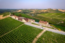 Barbera celebra boa safra, mas acende alerta sobre o futuro do vinho italiano
