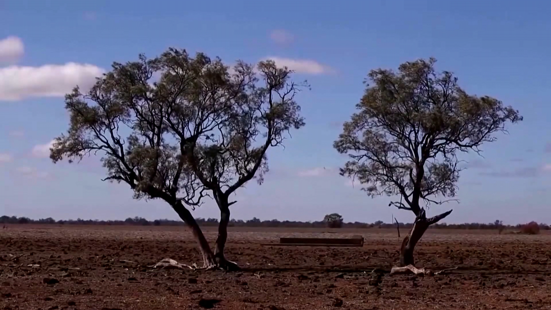 El Niño pode matar 13 mil pessoas no Brasil nos próximos seis meses, afirma estudo