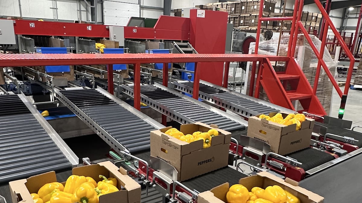 Vegetable producers receive relief from Ottawa’s new counter tariffs