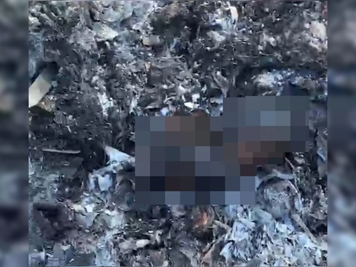 Recém-nascido carbonizado: PCDF recolhe imagens para elucidar o caso