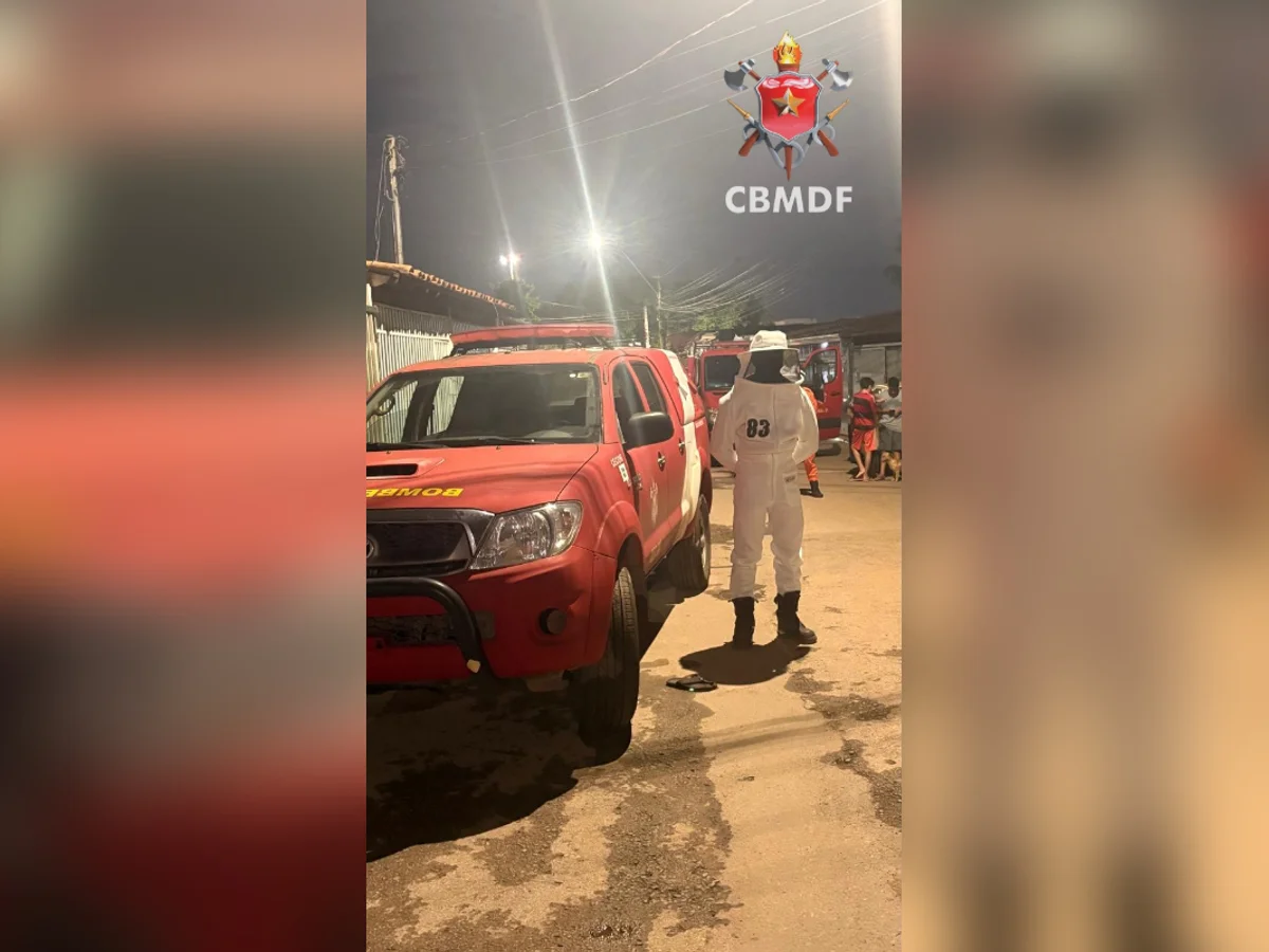 Enxame de abelhas invade residência em Taguatinga e mobiliza bombeiros
