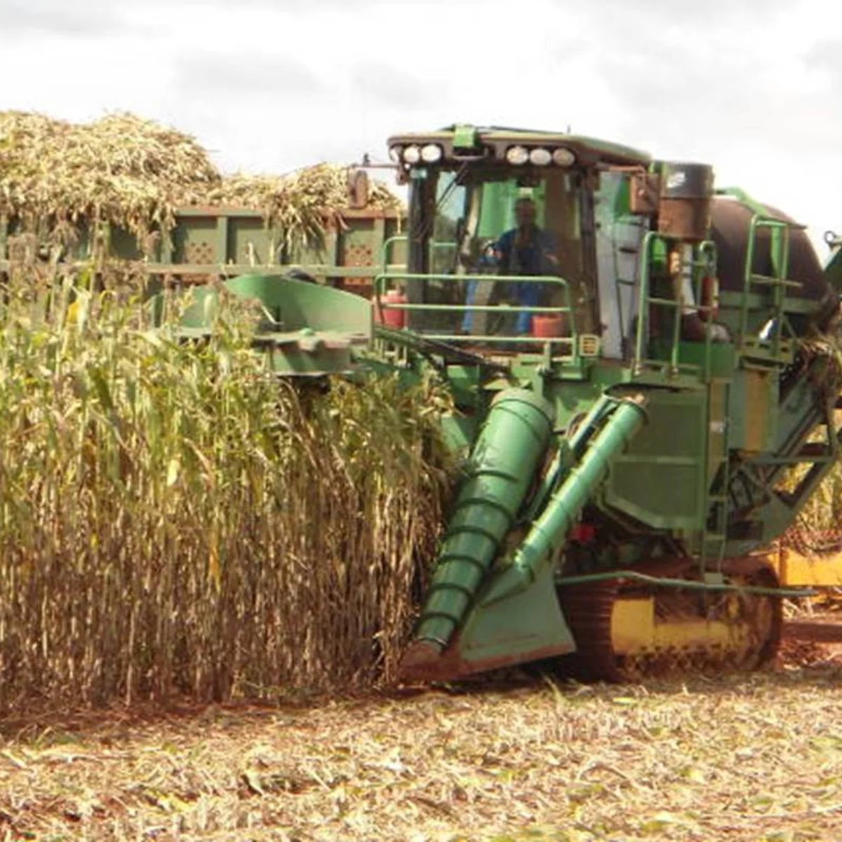 Marrocos fornecerá 3,8 milhões de toneladas de fertilizantes ao Brasil