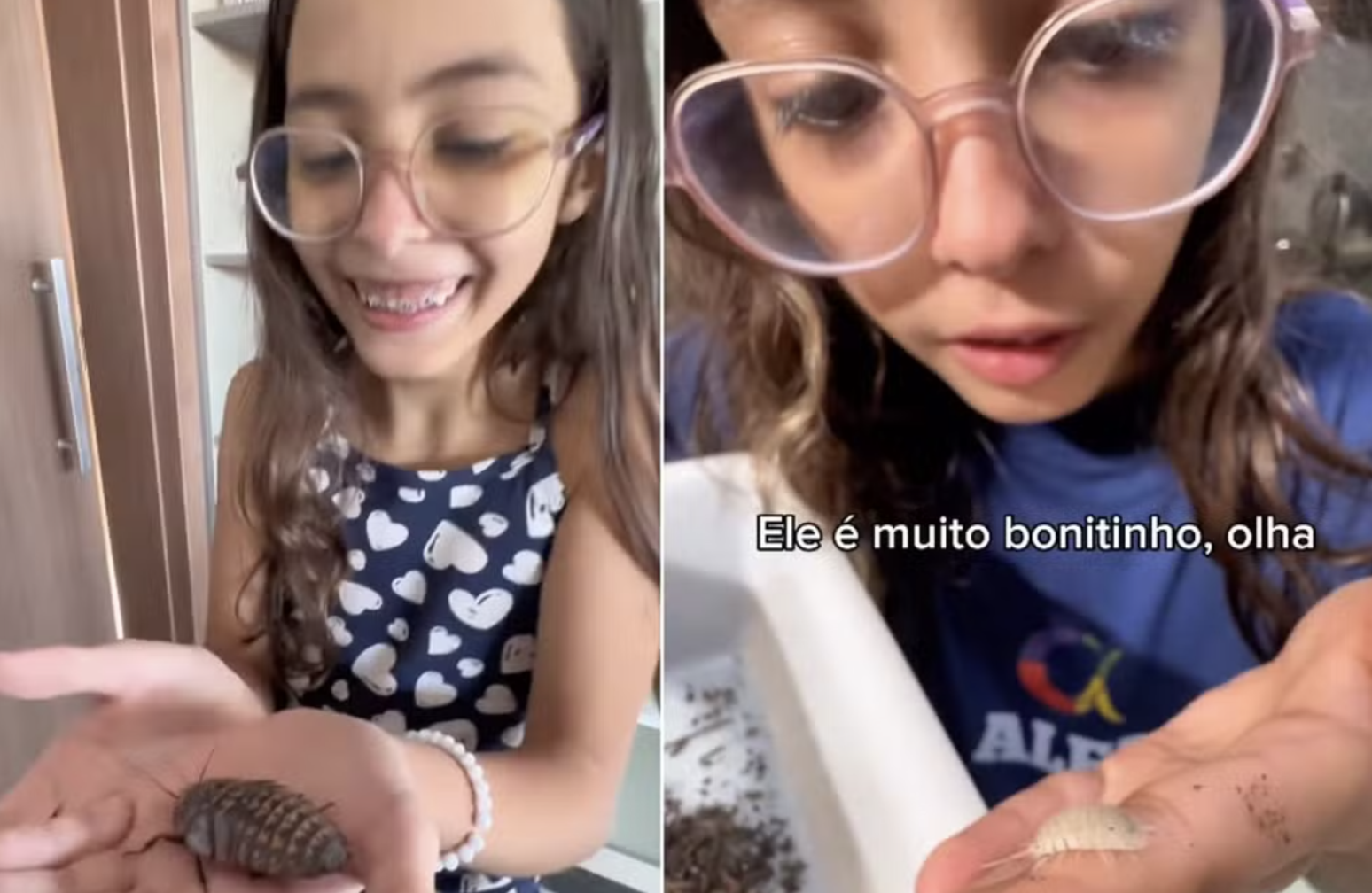 Alice, de Ponta Grossa (PR), cria animais encontrados no quintal