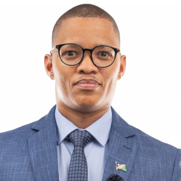 Namibia Gas Insights: Quem verifica a resposta técnica?