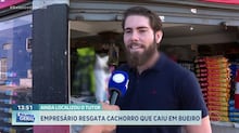 De cães e gatos a jacaré: animais inusitados são encontrados em estações de metrô em SP e Bahia