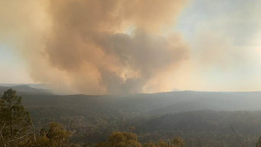 Smoke on a ridgeline.