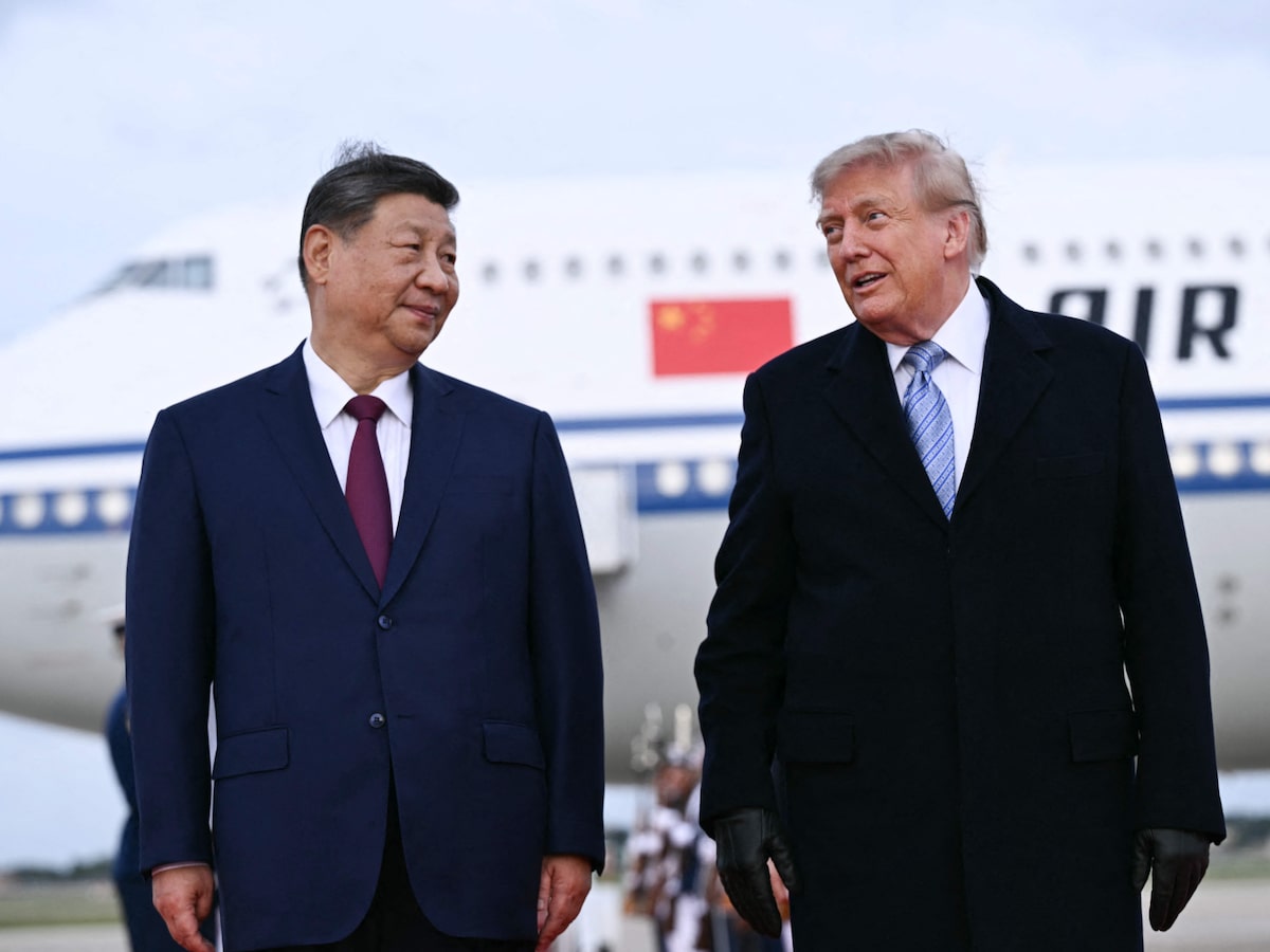 Diplomacia animal: China enviará casal de pandas a zoológico dos EUA, anuncia Xi Jinping