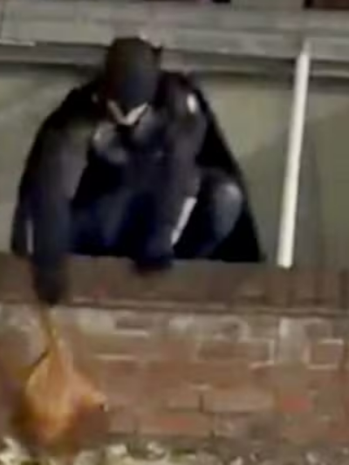 Homem vestido de Batman persegue ladrão e recupera bolsa roubada na Inglaterra