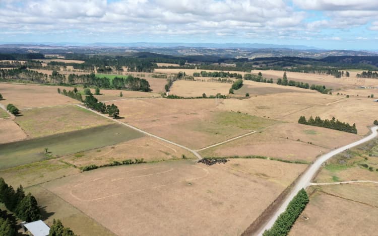 Reduced Northland farm production is among the economic impacts potentially likely should the currently strengthening Pacific El Niño which is shaping up to rival the climate pattern's strongest apperance bring a long hot dry for the region.