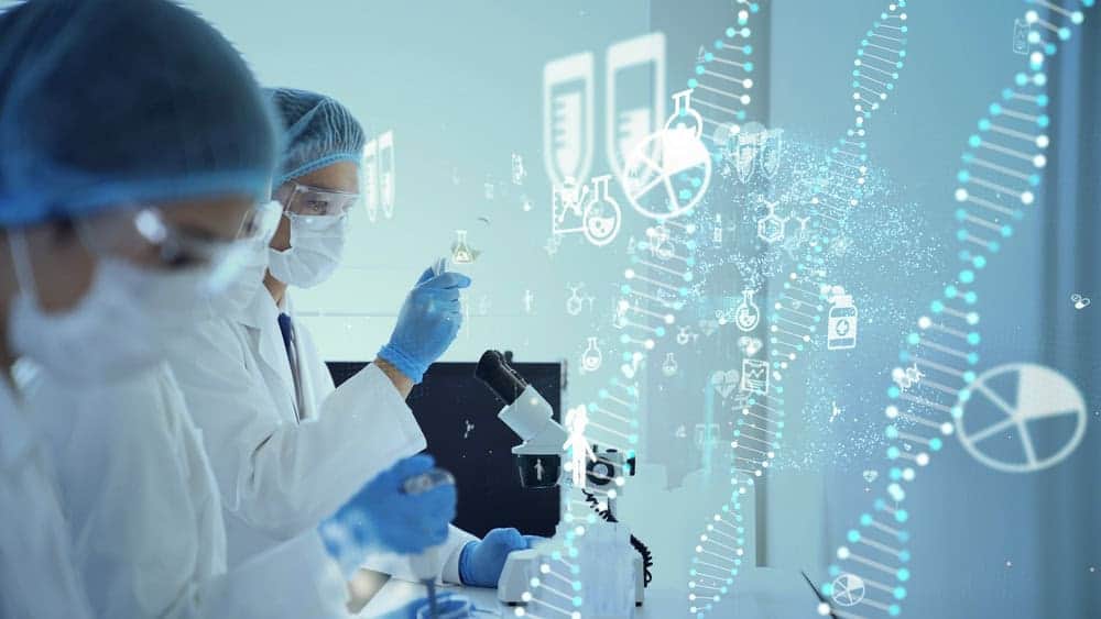 A empresa está levando seus projetos de inteligência artificial para experimentos físicos em biologia. – Imagem: metamorworks/Shutterstock
