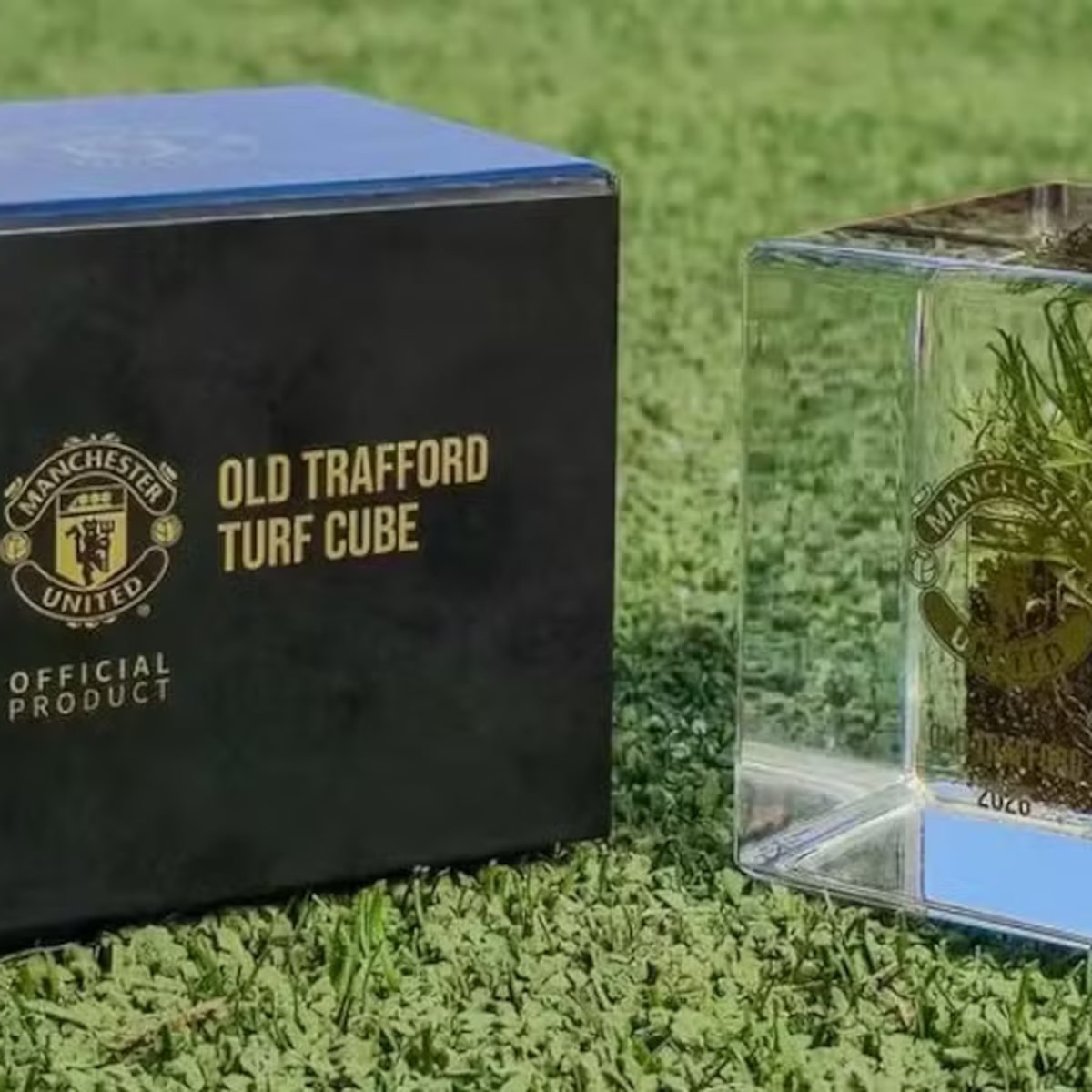 Manchester United registra rombo de R$ 477,6 milhões e vende grama de Old Trafford por R$ 850