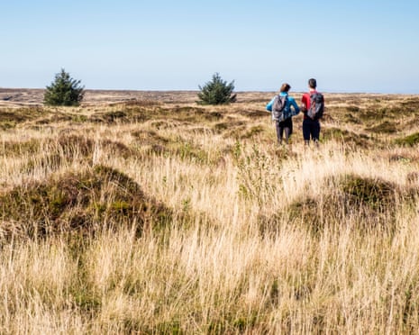 Two walkers in a grass field