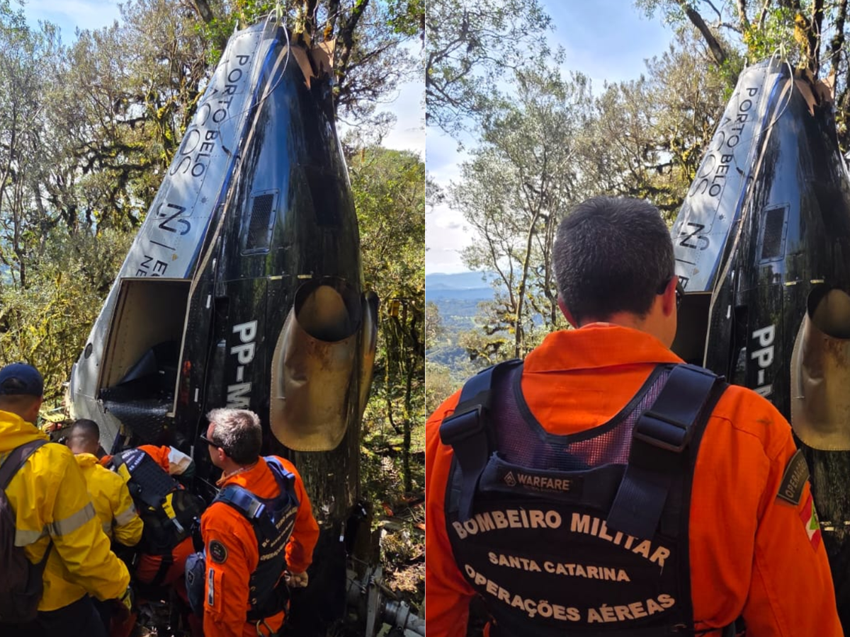 Helicóptero de Rick teria caído de bico no meio de árvores, diz perita