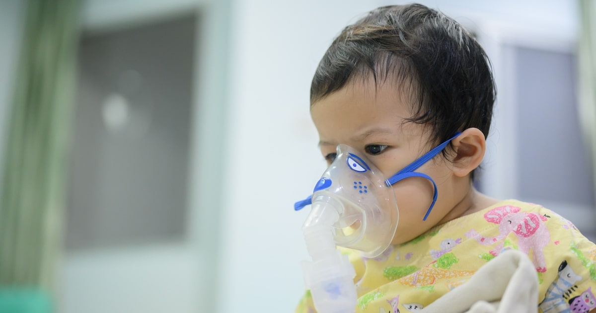 Do outono à primavera: sazonalidade do vírus da bronquiolite mudou no pós-pandemia; por quê?