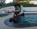 Family of bears play in swimming pool