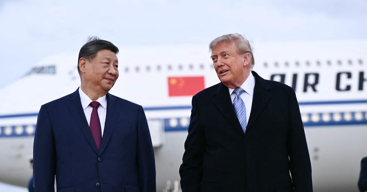 Diplomacia animal: China enviará casal de pandas a zoológico dos EUA, anuncia Xi Jinping