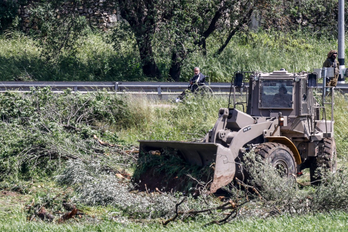 Israel ordena a remoção de vegetação de terras palestinas antes da colheita de azeite