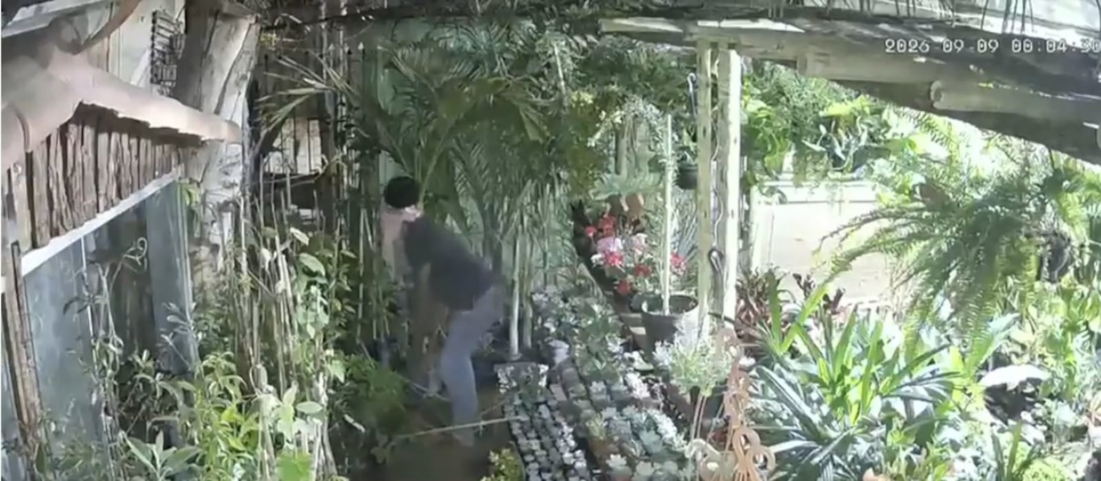 Imagens de câmeras de segurança registraram algumas das invasões