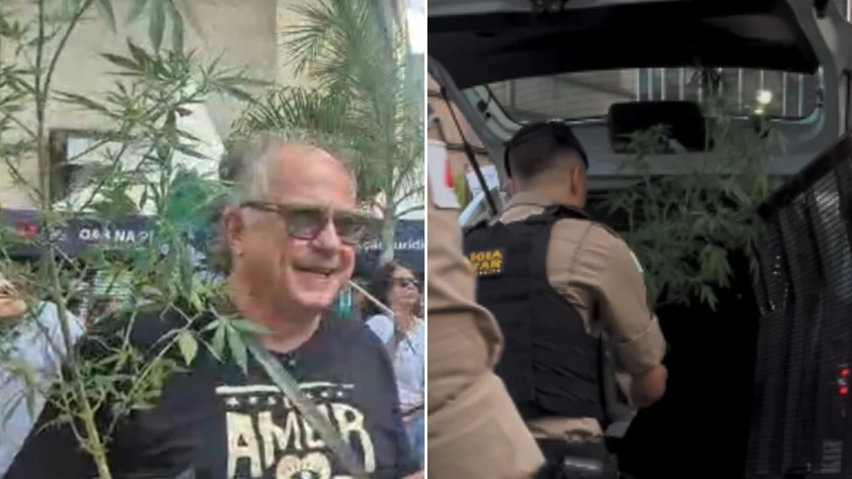 PC vê possibilidade de devolver pé de maconha levado de camburão em BH